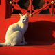 Illustration for article titled The Cats of Chinas Forbidden City